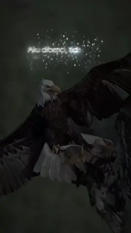 #assalamualaikum #story #foryoupage #CapCut 