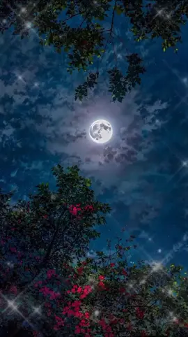 #Amen🙏 #pray #prayer #thankyoulord #Amen🙏 