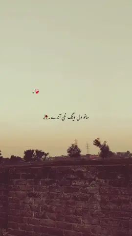 اسی ایتے مار کھا جاندے آں۔🍂❤️‍🩹🌸. #100k #aesthetic #poterylover #growmyaccount #fypシ゚viral🖤tiktok 