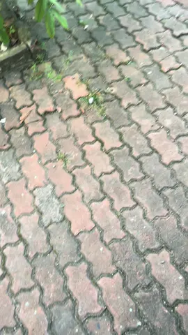 Gặp toàn ido #tphcm #363 #congannhandanvietnam👮‍♀️ #xuhuongtiktok 