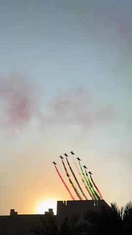 Today again who seen beautiful Air Show in Al Ain City 📍#creatorsearchinsights #trending #العين_دار_الزين_الامارات💜 #discover_al_ain #54nationalday @بلدية مدينة العين 