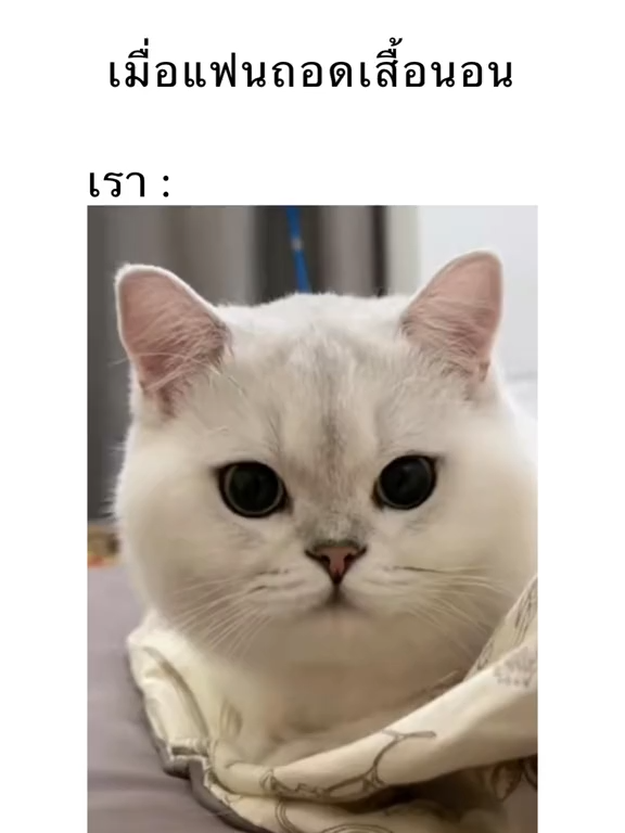 โอ้วว้าววว#UFA #อวดแฟนน #เธรดความรู้สึก #คลั่งรัก