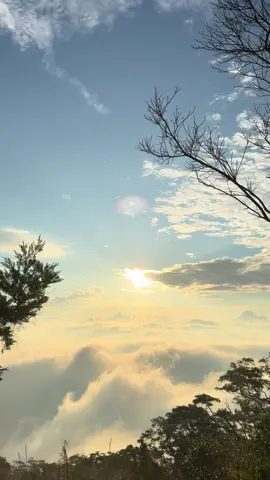 Lost in the clouds  #sunrise #awankarpet 