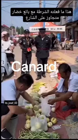 أرشيف canard #الشعب_الصيني_ماله_حل😂😂 