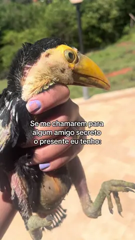 Postei o di que encontrei ele parecia um alienígena 😍😂❤️ #viral #amigosecreto #presente #fimdeano #viralvideo 