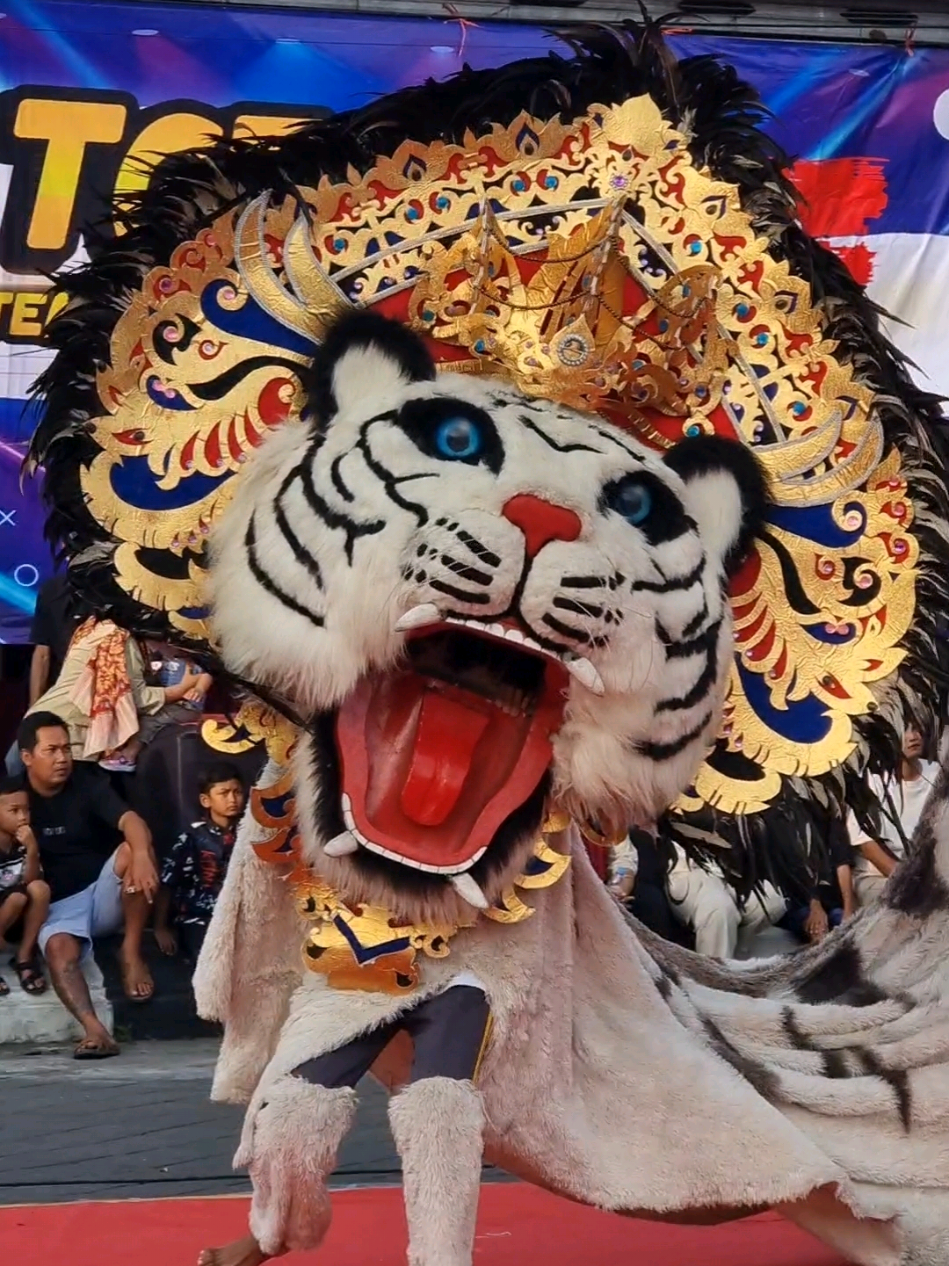 Barongan Putro Putri Kumboro TCF Roadshow #barongandemak #barongangalak #baronganngamuk #putroputrikumboro #jempolgayeng 