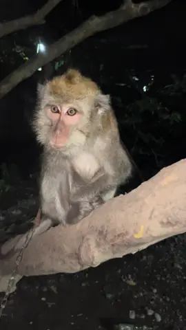 Susah untuk di jelaskan#fyp #fypシ゚ 