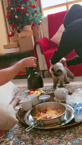 باجر اني وياك نكعد …🤍🫂 #ترند#حب#بيت 