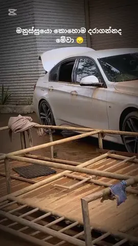 මනුස්සයො කොහොම දරාගන්නද මේවා🥲 #tach #trending 