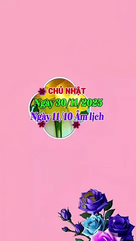 Chào Ngày Mới #ngaymoivuive 