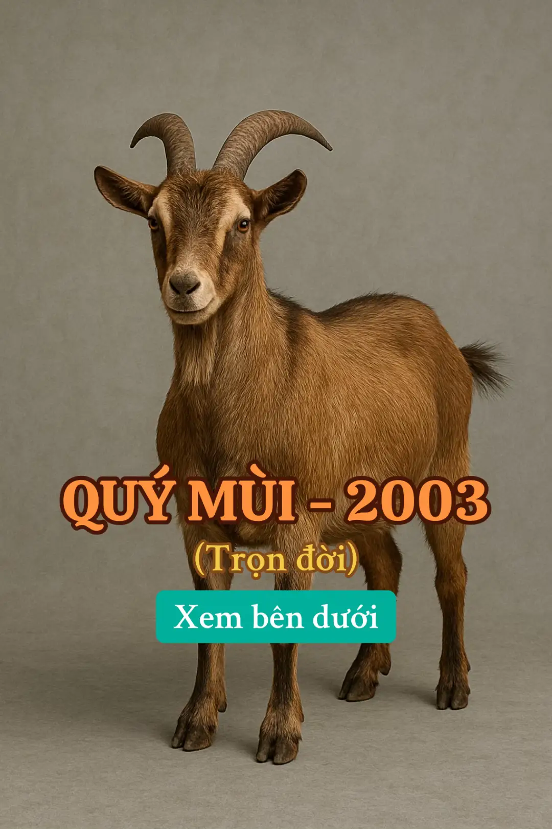TỬ VI TUỔI QUÝ MÙI 2003 : • Năm sinh dương lịch: 2003 • Năm sinh âm lịch: Quý Mùi (tuổi con Dê) • Mệnh ngũ hành: Dương Liễu Mộc (Cây dương liễu) • Nam: Ly (Hỏa) – Đông tứ mệnh • Nữ: Càn (Kim) – Tây tứ mệnh • Thiên can: Quý (thuộc Thủy) • Địa chi: Mùi (thuộc Thổ) • Tương hợp: Canh • Tương khắc: Đinh, Kỷ • Tam hợp: Hợi – Mão – Mùi • Tứ hành xung: Thìn – Tuất – Sửu – Mùi ⸻ 1. Tổng quan cuộc đời Người tuổi Quý Mùi 2003 có mệnh Dương Liễu Mộc – tượng trưng cho cây dương liễu mềm mại, uyển chuyển. Họ thường thông minh, nhạy bén, giỏi quan sát và khéo léo trong giao tiếp. Tính cách thường nhẹ nhàng, không thích đối đầu, nhưng lại có nội tâm sâu sắc và nghị lực mạnh mẽ. Vận mệnh tuổi này thường gặp nhiều thử thách lúc trẻ, phải qua khó khăn mới gặt hái thành công. Về hậu vận thường ổn định, có sự nghiệp riêng và cuộc sống sung túc hơn. ⸻ 2. Tính cách • Ưu điểm: Thông minh, sáng tạo, giàu lòng trắc ẩn, dễ được mọi người yêu quý. • Nhược điểm: Tâm lý dễ dao động, thiếu kiên định, đôi khi sống quá cảm tính, dễ bỏ lỡ cơ hội. Người tuổi Quý Mùi có trực giác tốt, hợp với những nghề sáng tạo, nghệ thuật, nghiên cứu hoặc công việc đòi hỏi sự tinh tế. ⸻ 3. Công danh – Sự nghiệp • Thời trẻ (18–25 tuổi): thường gặp nhiều khó khăn, công việc chưa ổn định, dễ thay đổi. • Trung vận (26–35 tuổi): bắt đầu có cơ hội phát triển sự nghiệp, nhờ sự kiên trì và khéo léo nên dần đạt thành tựu. • Hậu vận (sau 36 tuổi): sự nghiệp ổn định, có danh tiếng hoặc địa vị, tài lộc vững vàng. Người tuổi Quý Mùi hợp với nghề liên quan đến: nghệ thuật, sáng tạo, viết lách, thiết kế, ngoại giao, giáo dục, luật pháp hoặc lĩnh vực y tế. ⸻ 4. Tình duyên • Nam Quý Mùi: tình duyên khá lận đận thời trẻ, dễ có nhiều mối tình nhưng khó bền lâu vì tính hay thay đổi. Sau tuổi 27 trở đi thì đường tình duyên mới ổn định. • Nữ Quý Mùi: có duyên ngầm, dễ được người khác giới chú ý. Tuy nhiên cũng cần đề phòng “thương tổn tình cảm” ở tuổi đôi mươi. Sau khi kết hôn, đa phần gia đình êm ấm. Hợp tuổi kết hôn: Hợi, Mão, Ngọ. Kỵ tuổi: Sửu, Thìn, Tuất (dễ mâu thuẫn, cản trở đường tình cảm). ⸻ 5. Tài lộc : Tuổi Quý Mùi ít khi giàu có nhờ may mắn, mà chủ yếu nhờ sự kiên trì, nỗ lực. Tài lộc thời trẻ chưa ổn định, thường tiêu pha nhiều. Sau tuổi 30, tiền bạc mới dần dư dả, tích lũy được tài sản. ⸻ 6. Gia đạo • Thời nhỏ: gia đình có thể chưa trọn vẹn, tình cảm có nhiều khúc mắc. • Khi trưởng thành: tự lập, không thích phụ thuộc. • Hậu vận: gia đình hạnh phúc, con cháu đầy đủ, cuộc sống an nhàn hơn. ⸻ 7. Vận hạn theo từng giai đoạn • 18–22 tuổi: Học hành, sự nghiệp còn nhiều thử thách, dễ phân tâm. • 23–27 tuổi: Bắt đầu tạo dựng sự nghiệp, cần kiên trì, tránh đầu tư mạo hiểm. • 28–35 tuổi: Giai đoạn phát triển mạnh mẽ, dễ có cơ hội thăng tiến. • 36–50 tuổi: Sự nghiệp ổn định, gia đình hạnh phúc, tài lộc dồi dào. • Sau 50 tuổi: Cuộc sống an nhàn, phúc lộc đầy đủ. ⸻ 8. Vật phẩm & phong thủy hợp mệnh • Màu sắc hợp: Xanh lá cây, xanh ngọc, xanh dương, đen. • Màu kỵ: Trắng, xám, ghi (thuộc Kim – khắc Mộc). • Vật phẩm may mắn: vòng tay trầm hương - nhẫn trầm đá màu xanh, ngọc bích, thạch anh xanh, đá aquamarine. Vòng tay Phật bản mệnh, đồng xu hoa mai, lá bồ đề - Phật bản mệnh mình nghĩ các bạn nên đeo để hỗ trợ cho các bạn tốt nhất . • Hướng hợp (Nam mệnh): Đông, Đông Nam, Nam, Bắc. • Hướng hợp (Nữ mệnh): Tây, Tây Bắc, Tây Nam, Đông Bắc. ⸻ 📖 Kết luận : Tuổi Quý Mùi 2003 có số mệnh phải trải qua nhiều thử thách ban đầu, nhưng nếu kiên định thì trung và hậu vận sẽ viên mãn. Đây là tuổi hợp với con đường sáng tạo, nghiên cứu, hoặc nghề nghiệp liên quan đến trí tuệ, giao tiếp. Tình duyên đôi khi lận đận, nhưng về sau thường được hạnh phúc trọn vẹn. ☘️ Trong “Trang Trưng Bày” của mình có những vật phẩm phong thuỷ nhỏ dành cho tuổi Mùi hợp mệnh - hợp ngũ hành, bổ trợ cho các bạn mọi sự hanh thông & may mắn hơn các bạn nhé. Cảm ơn sự ủng hộ của mọi người ❤️ #quymui2003 #tuviquymui2003 #thoivanvasomenh12congiap #tuvi2026 #tửviquýmùi2003