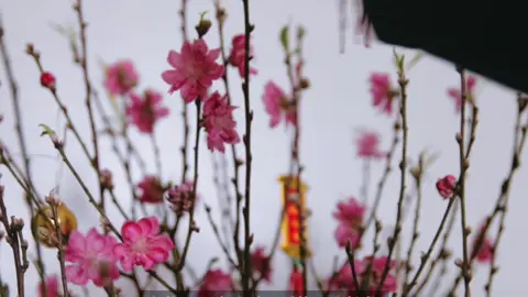 đếm ngày đón Tết Bính Ngọ 2026 #tet2026 #tet 