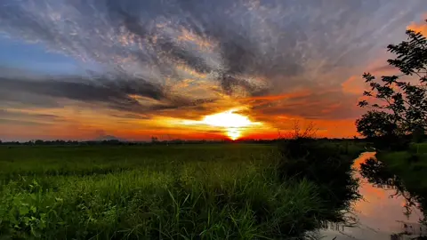 👤🥀#xuhuongtiktok #uoclenxuhuong #tamtrang #vairal 