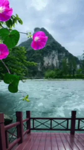 #creatorsearchinsights 