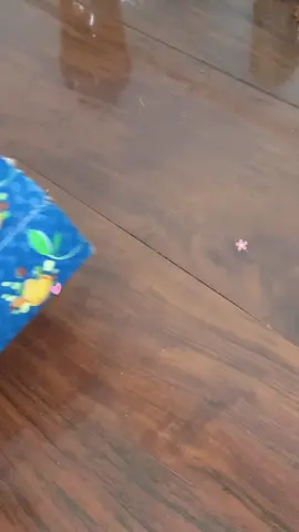 Unbox sữa ghép quả nhạc nghe soang gì đâu. Cứ tưởng tượng mình đang đi du lịch íii🙂‍↔️ #buntangcan #bundangtaptangcan #tangcan #vinamilk 