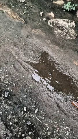 #jupiterseketer🚀 #5tpgank #slepengine200 #atrracingexhaust 