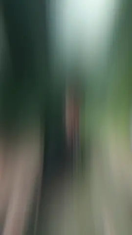 #fyp #4u #fypage #foryou 