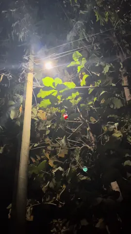 Dikha nahi sakte🥺💔 #mightyankit #part97 #foryoupage #birgunjmuser #nightview 