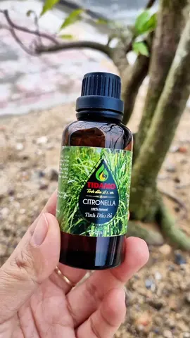 tinh dầu xông phòng #nguyenchat #tidamo #tinhdauthomphong #tinhdau #xuhuong 