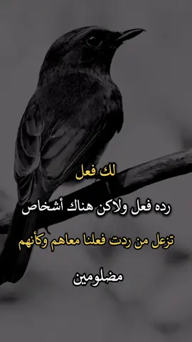 #افضل_عبارة_لها_تثييت #عباراتكم_الفخمه📿📌 #افضل_عبارة_لها_تثييت، 