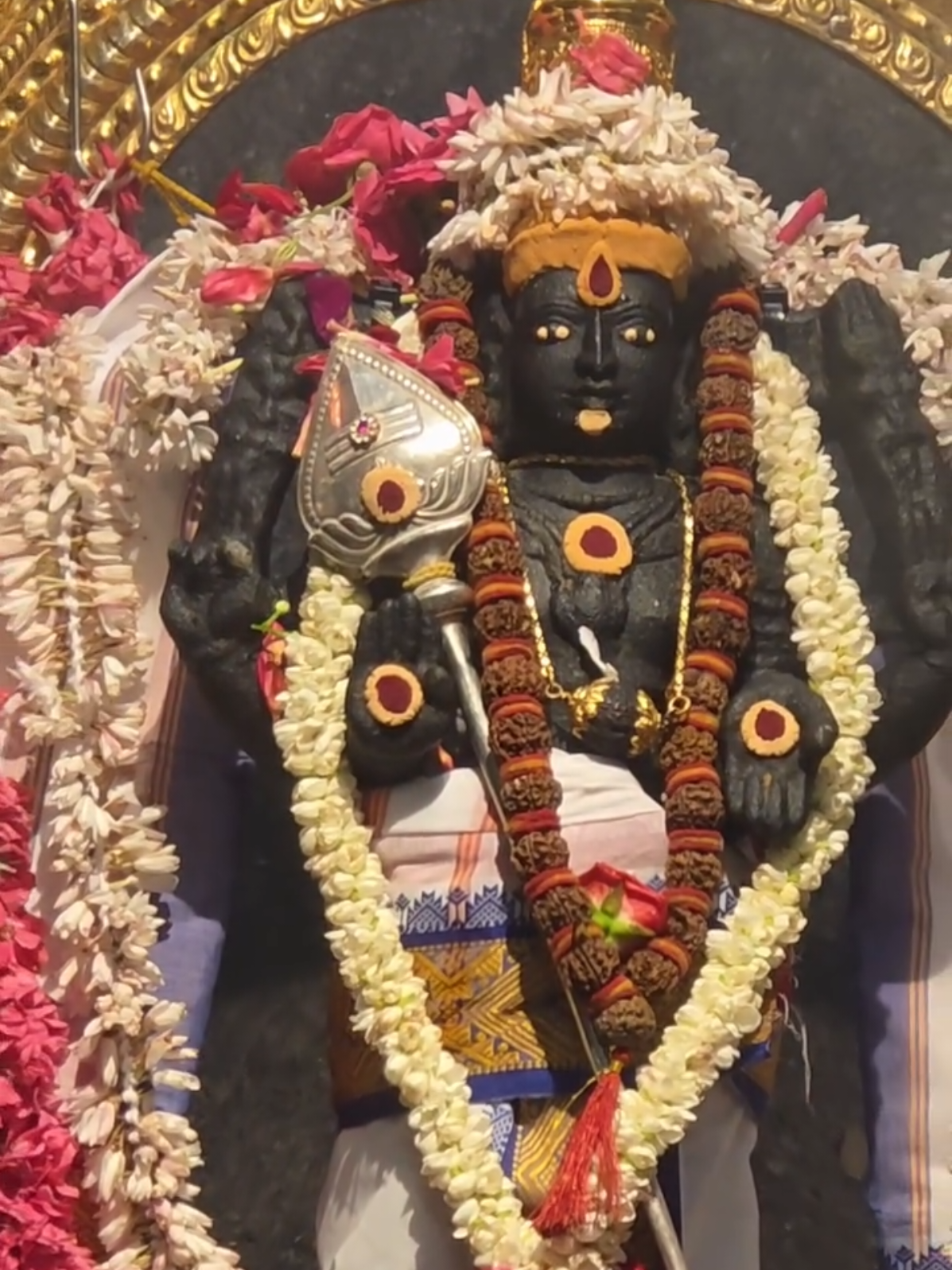 முருகா 🌼🌼🌼🌸🌸💐💐 🙏🙏💐💐🌸💐🌸💐🌼 🪷🪷💐🙏🌸 | Sri Veeramakaliamman Temple Singapore #singapore #sriveeramakaliammantemple 