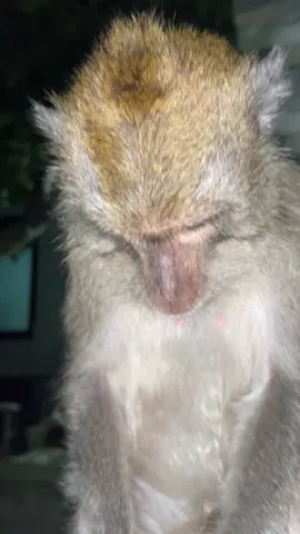 Lagi mikirin hutang#fyp #fypシ゚ 