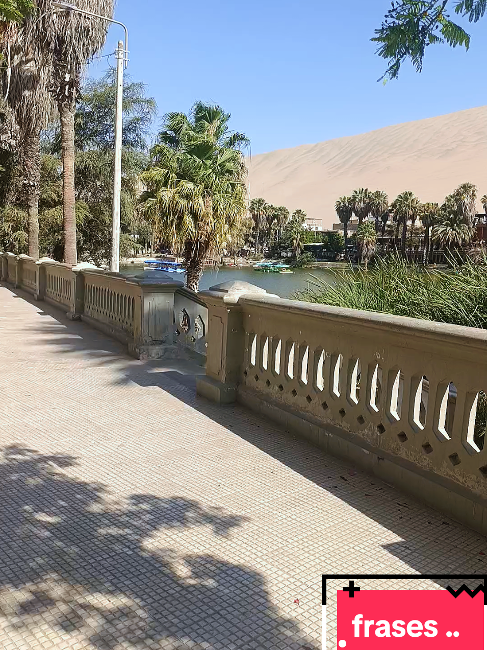 frases bonitas en el oasis de #icahuacachina🏝🏞  #frasesmotivadoras #quality  en #peru y #parati 🤠🤠😎😎