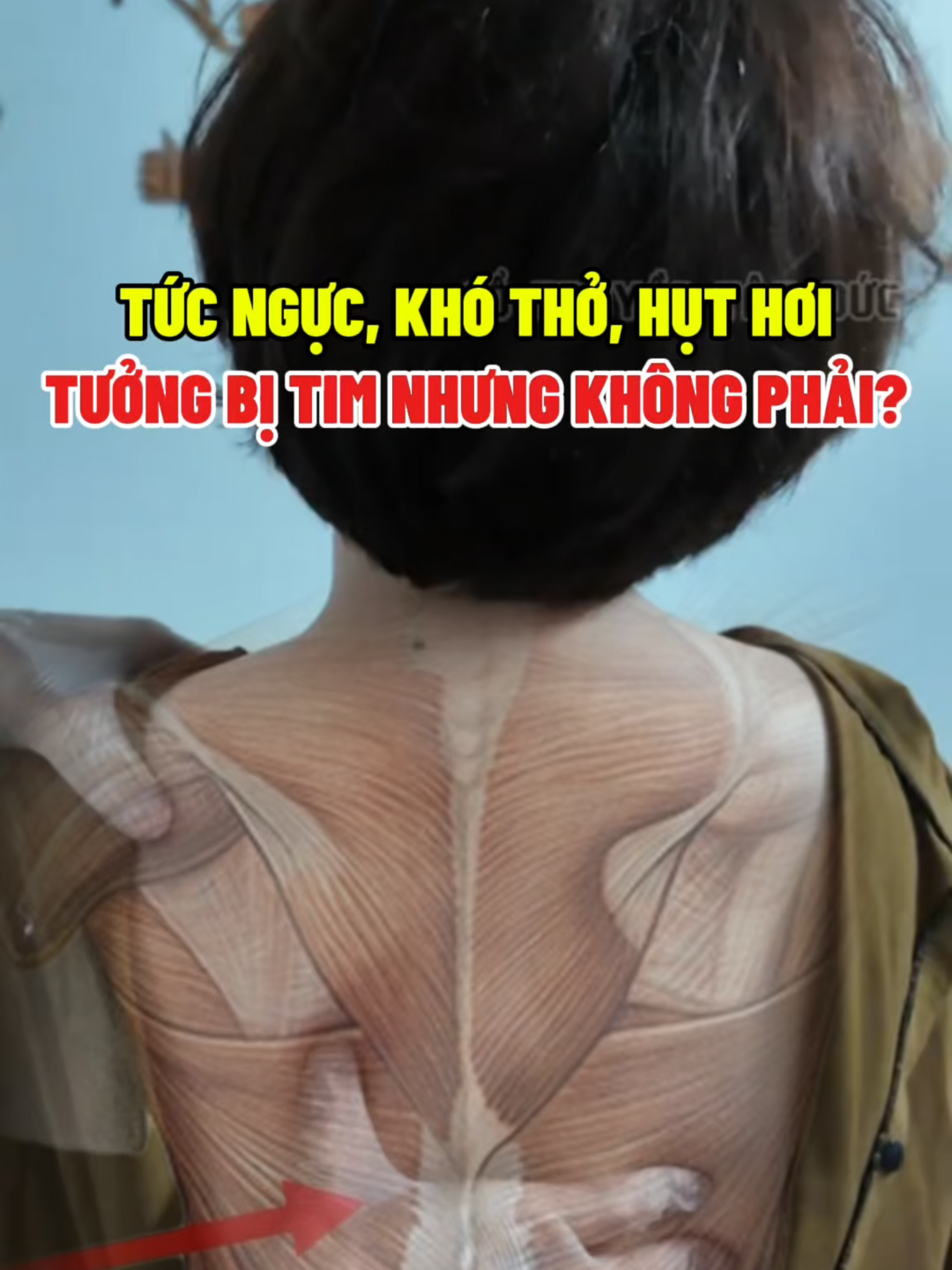Tức ngực, khó thở, hụt hơi tưởng bị tim nhưng không phải? #cotruyentamduc #bsthang #viralstiktok #YHCT #coxuongkhop #huthoi #khotho