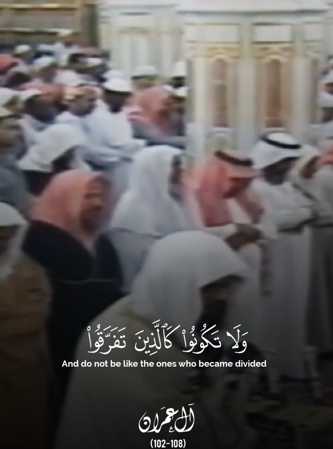 beautiful quran recitation by sheikh abdul wadud Haniif #عبدالودود_حنيف #سورة_القصص  #اكتب_شي_تؤجر_عليه #استغفرالله  #fyp 