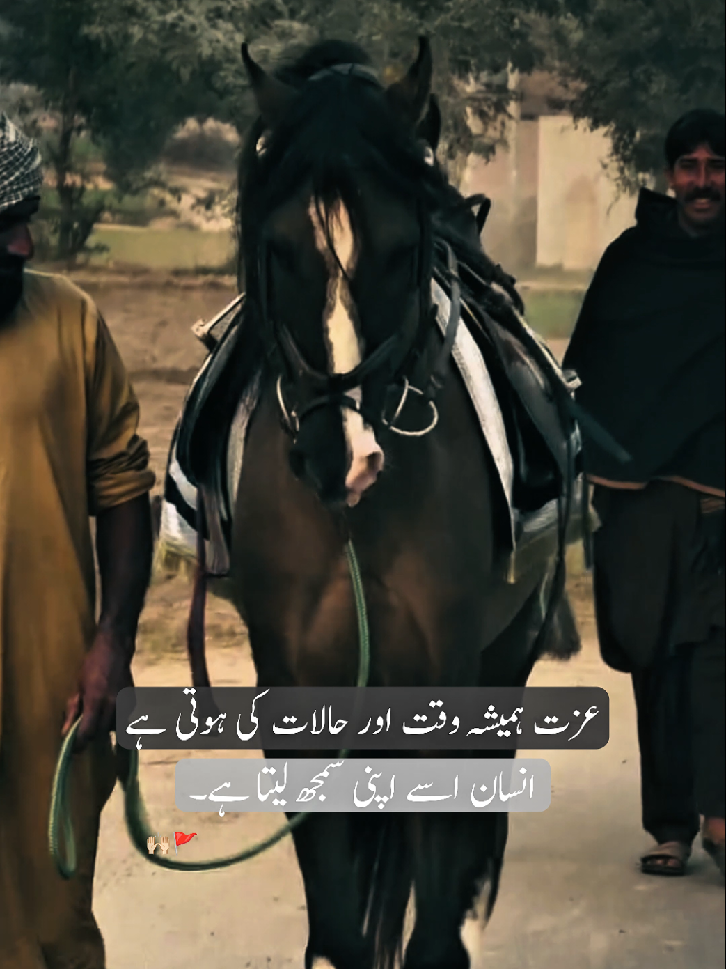 Bilkul 🚩🙌🏻 #fyp #poetrylines #horse #statusvideo #viralpoetry 