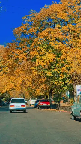 #Şəki #Sheki #fypviralシ #fypviraltiktok🖤シ゚☆♡ #keşfetbeniöneçıkar 