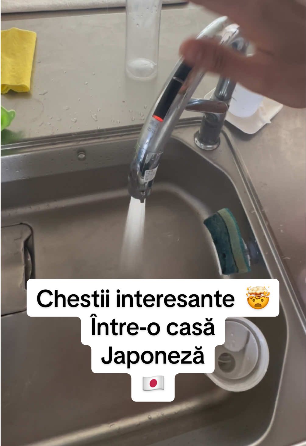 Nu e interesant? 🤯  #japonia #calatoresc #asiatica #curiozitati #invatamimpreuna 