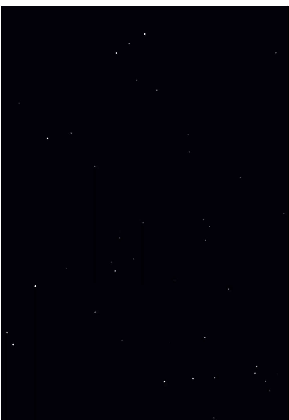 #FreeFire #ฟีฟาย #รับตัดคลิป #vsp 