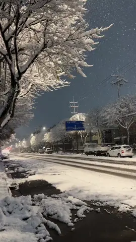 #snowfall #winter #fyp 