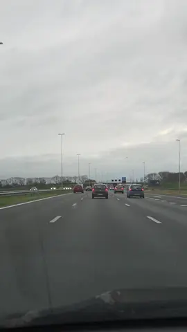 #الشيخ_محمد_بن_علي_الشنقيطي 