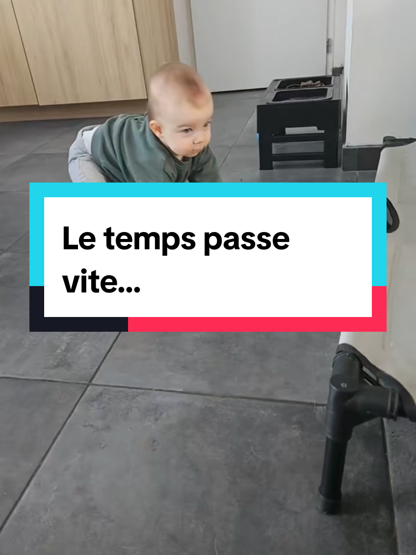 ❤️ #goldenretrieverlife #dogmom #mamansolo #dogoftiktok #goldenretriever 