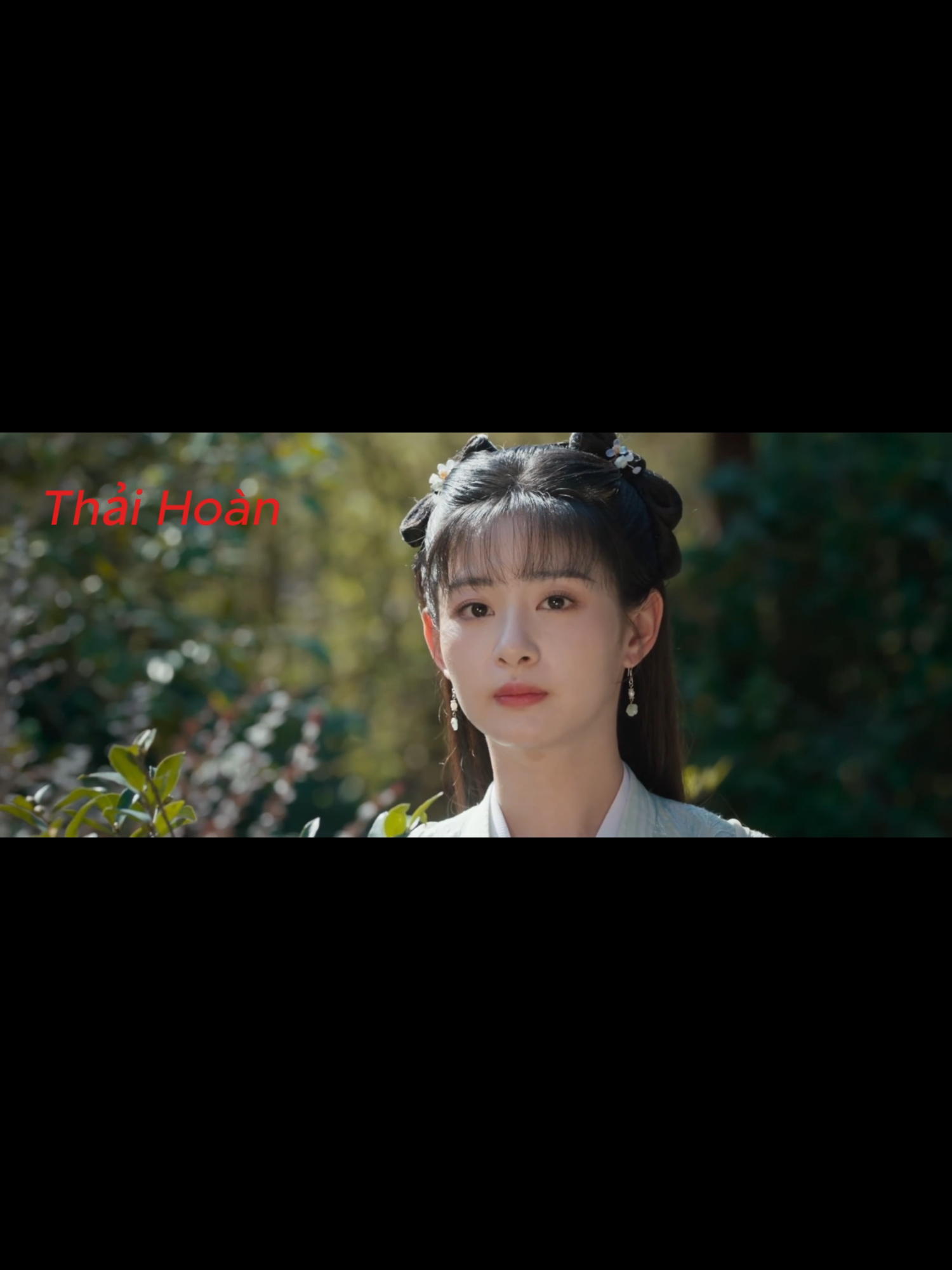 Ai ở cuối nhỉ 😂😂😂 phamnhantutienmovie #hanlap #duongduong #ncy #kimthan #mth #trieutinh #donghuyennhi #phamnhantutien #hh3dtq