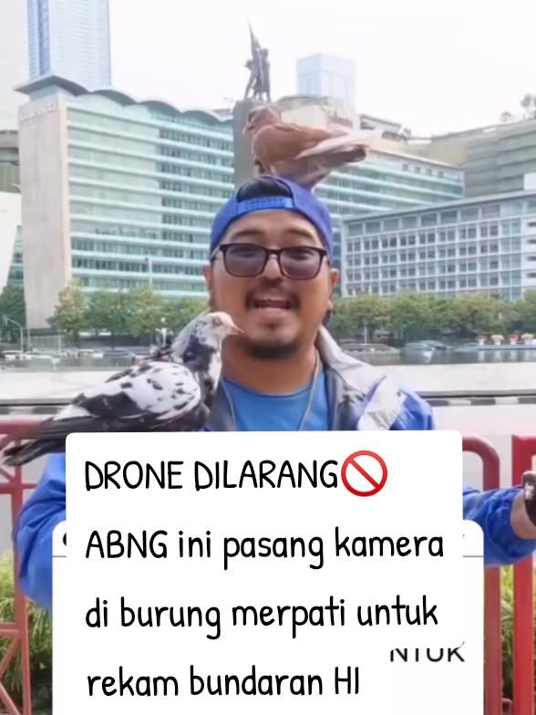 Cantik banget viewnya🥹 📹 ig/fernando_pradhana_ff #beritaviral  #dron  #dkijakarta #bundaranhi #merpati 