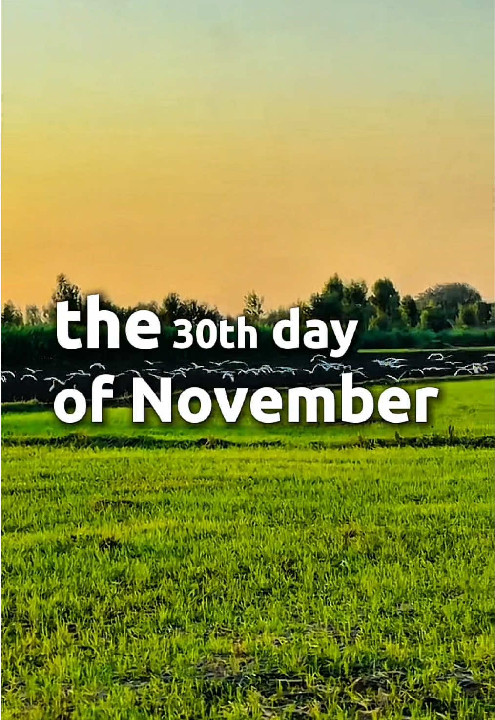 30TH NOVEMBER SUNDAY PRAYER #CapCut #capcutpioneer #pioneertemplate #sunday #november30 