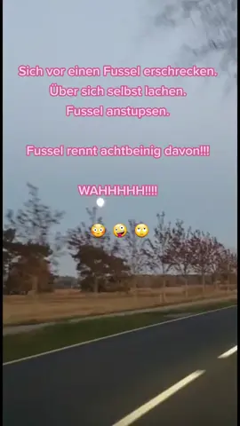 #🤪 #🤣 #😅 #🥳 #😎 