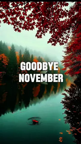 GOODBYE NOVEMBER  #CapCut #capcutpioneer #pioneertemplate #goodbyenovember #november30 