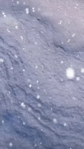 سنة جديدة #كل عام وانتم بخير غوالي #أمير روحي #كل عام وانت لي الأقرب#🇹🇳🌺👑🇵🇸_ 