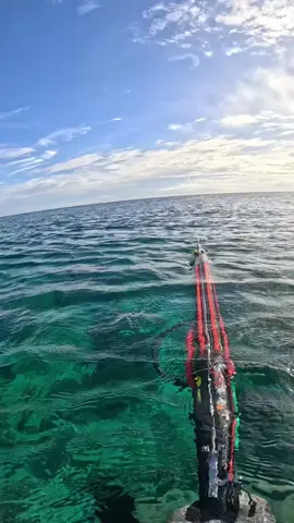 I'm sharing my spearfishing trip with you #spearfishing #fishing #fishingtiktoks 
