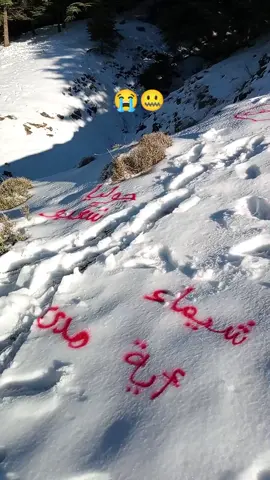 #الشعب_الصيني_ماله_حل😂😂 #58ولاية #الجزائر #الشريعة #البليدة 