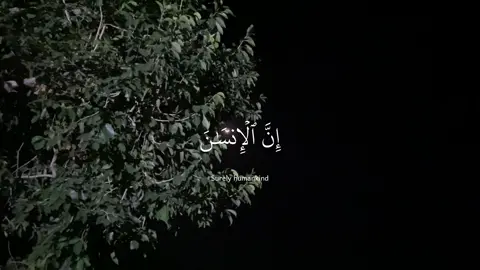 #quran #عبدالرحمن_مسعد 