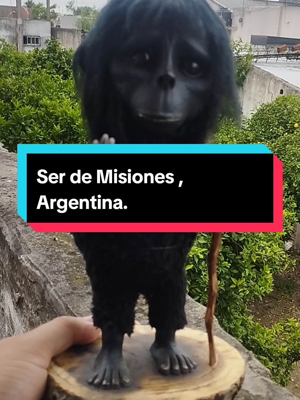 Buenas gente está es la figura representada según los testimonios de los protagonistas del vídeo coral del ser de Misiones, Argentina. Qué opinan que fue? espero sus comentarios.#artesanal #paratii #paranormal #argentina🇦🇷 #acumar 