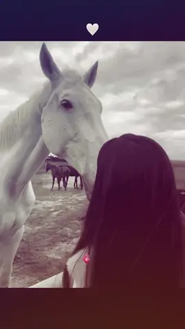 one day ✨🫀 #foryoupage❤️❤️ #viralvideo #1milionaudition ##novoilenceofcommunityguidelines