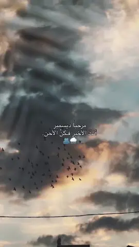 #الحمدالله_علی_کل_حال❤ #كلام_من_القلب #😍😍😍 #خواطر #🦋 