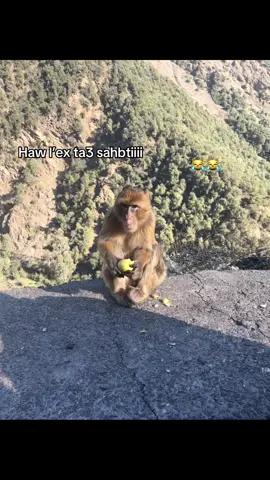 #fyppppppppppppppppppppppp #pov #pourtoii #drole 