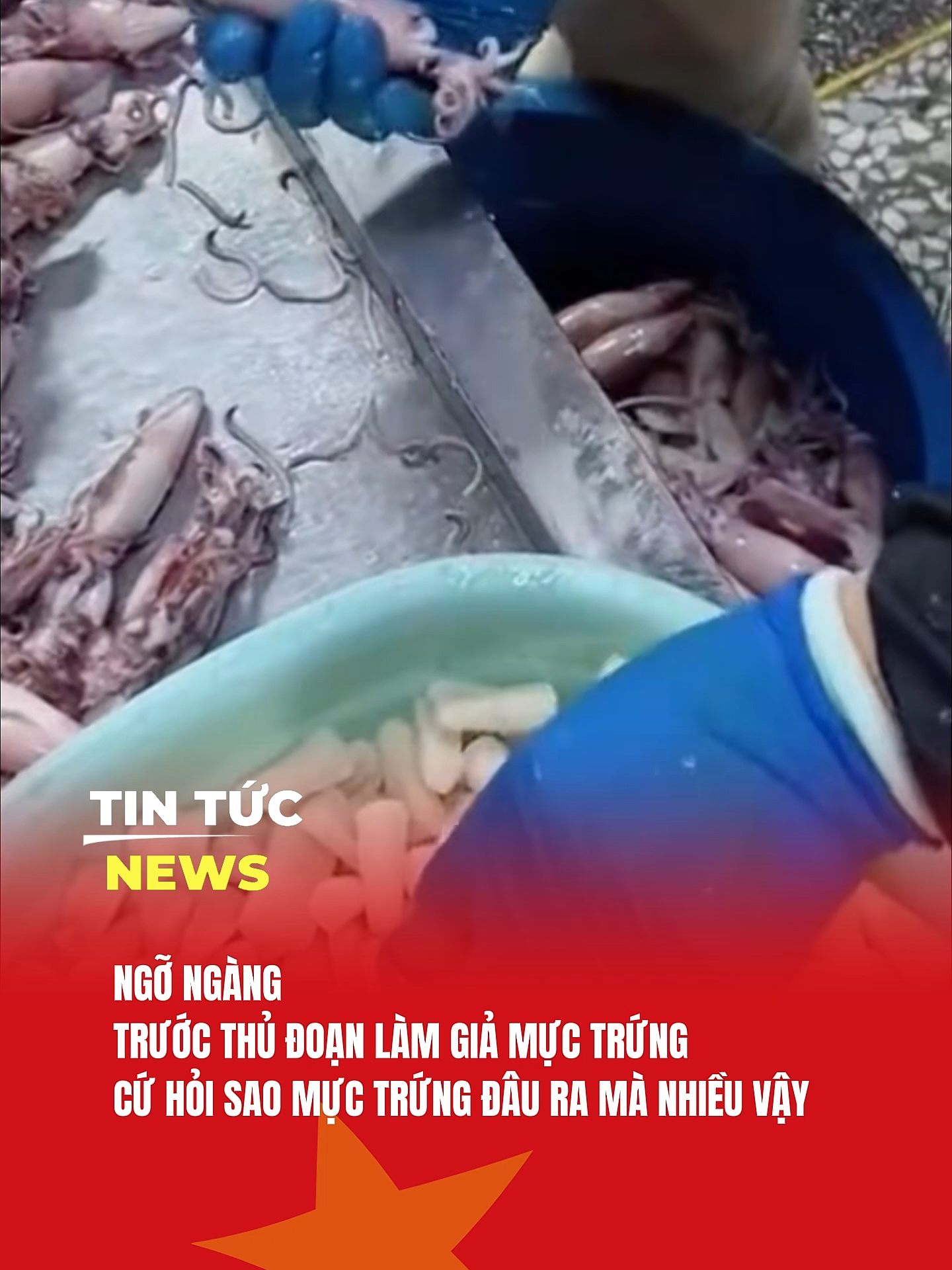 KHÔNG TIN NỔI VÀO MẮT MÌNH  #tintucnewsvn